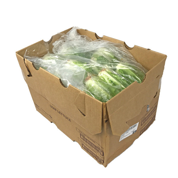 24 CT-PACK OF LETTUCE GREEN LEAF FRSH W/LINR