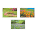 1000-PACK OF PLACEMAT PAPER FLORAL MULTIPAK