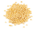 1-PACK OF GRAIN SPCLTY MILLET SD ORGANIC