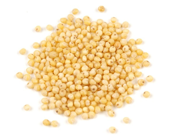 1-PACK OF GRAIN SPCLTY MILLET SD ORGANIC