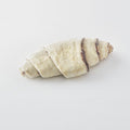 60- PACK OF DOUGH CROISSANT CHOC SWRL