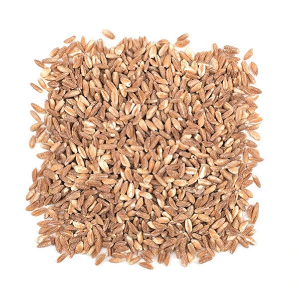 4-PACK OF GRAIN SPECIALTY FARRO SEMIPRLD