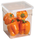 8QT-PACK OF CONTAINER FOOD CAMWEAR SQR CLR