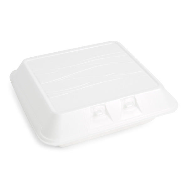 2-PACK OF CONTAINER FOAM HNG 3C 10X9X3