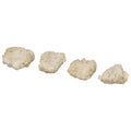 5 LB-PACK OF CHICKEN WING BNLS BRD
