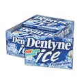 9-PACK OF GUM SUGARLESS PEPPERMINT