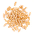 1-PACK OF GRAIN SPCLTY KAMUT