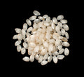 1-PACK OF RICE SHORT CALASPARRA