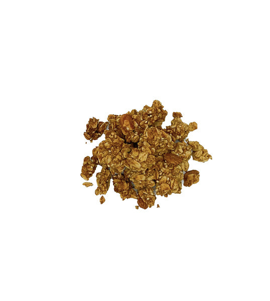 12-PACK OF Granola Bites Powered with Cricket Flour
