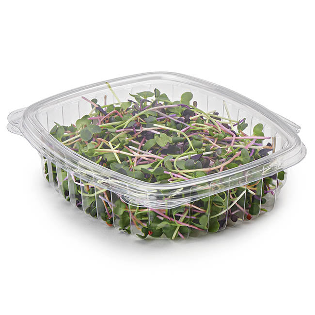 200-PACK OF Container Food 24 oz Compostable PLA Clamshell Deli Containers | Good Natured Products | 200 count