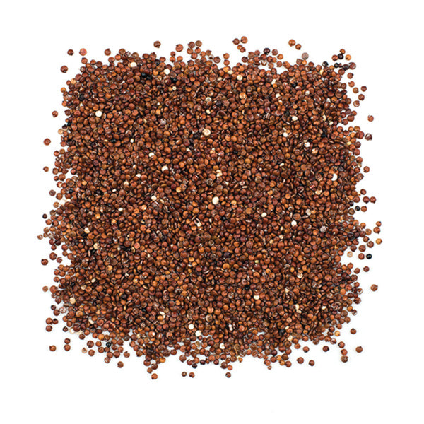12-PACK OF GRAIN SPCLTY QUINOA RED
