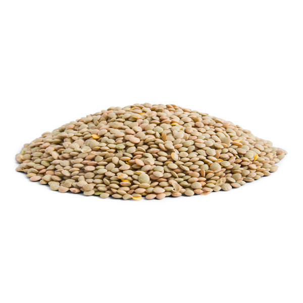 1-PACK OF BEAN LENTIL DRIED