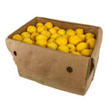 165CT-PACK OF LEMON CHOICE FRESH