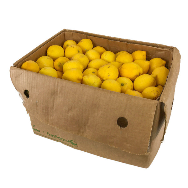 165CT-PACK OF LEMON CHOICE FRESH