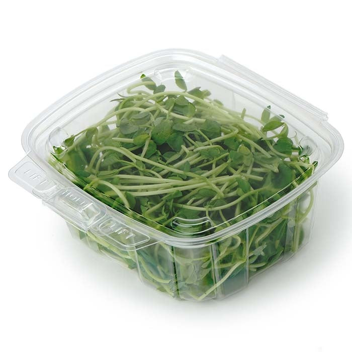 180-PACK OF Container Food 24 oz Compostable PLA GoodGuard Tamper-Evident Clamshell Containers | Good Natured Products | 180 count