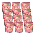 12-PACK OF Candy Gummy Peach Kasugai 1.76 oz