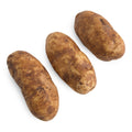 50 LB-PACK OF POTATO BAKING RUSSET 60CT FRSH