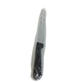 24CT-PACK OF KNIFE STEAK RND TIP PLAS HDL