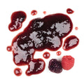 2-PACK OF SAUCE MELBA BLK RED RASPBERRY