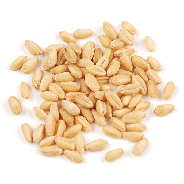 1-PACK OF GRAIN WHEAT BERRIES SOFT WHITE