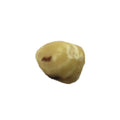 1-PACK OF NUT FILBERT HZLNT BLANCHED WHL