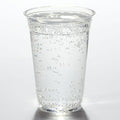 1000-PACK OF CUP COLD 20 oz Greenware Compostable PLA Cold Cups | 1000 count