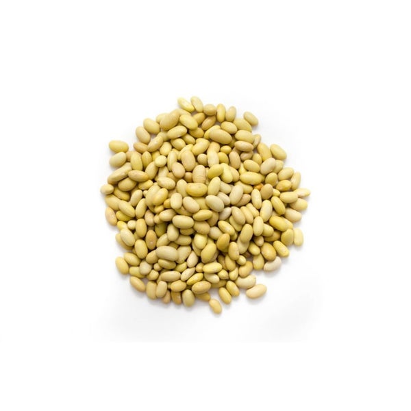 10-PACK OF Aiva Mayacoba (Peruvian) Beans, Frijol Peruano 40 lb Bulk
