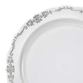 12-PACK OF Plate Plastic 10" White Silver Rim