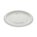 300-PACK OF Plate Paper Pactiv Corp. EarthChoice Compostable Paper Plates - 10 inch Diameter, White Dinnerware for Hot and Cold Foods (300 Plates per Carton)