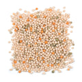 2-PACK OF COUSCOUS GRAIN ISRAELI TRI CLR