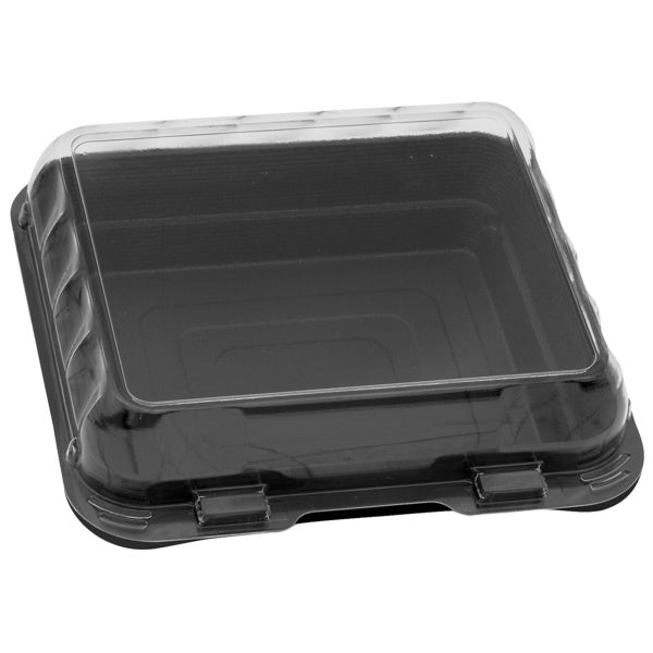 1-PACK OF CONTAINER PLAS BLK/CLR HNG 6X6