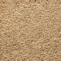 1-PACK OF SPICE PEPPERCORN WHT FERMENTED