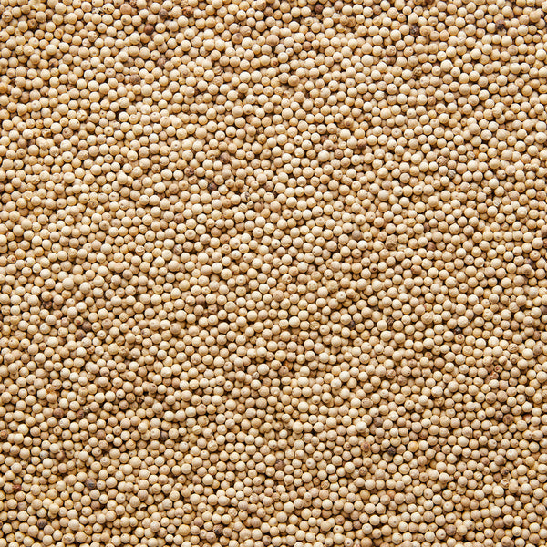 1-PACK OF SPICE PEPPERCORN WHT FERMENTED