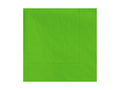 4-PACK OF NAPKIN BEV 9.5X9.5 2P FRSHLIME