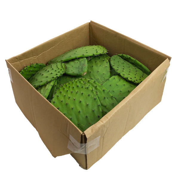 10 LB-PACK OF CACTUS LEAVES LOOSE FRESH