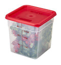 6-8 QT-PACK OF COVER PLAS CAMWR SQR WNTR ROSE