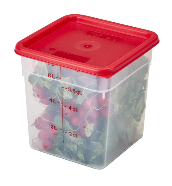 6-8 QT-PACK OF COVER PLAS CAMWR SQR WNTR ROSE