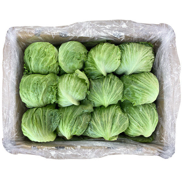 24CT-PACK OF LETTUCE ICEBERG PREMIUM PLTIZD