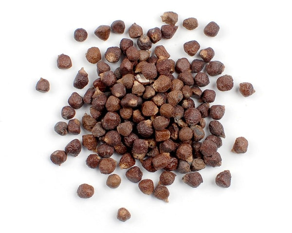 6-PACK OF GRAIN SPECIALTY PARADISE