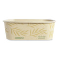 300-PACK OF Container Sugarcane Eco-Friendly World Centric No Tree Rectangular Sugarcane Containers - 24 oz, 300 Count - Perfect for Takeout and Leftovers