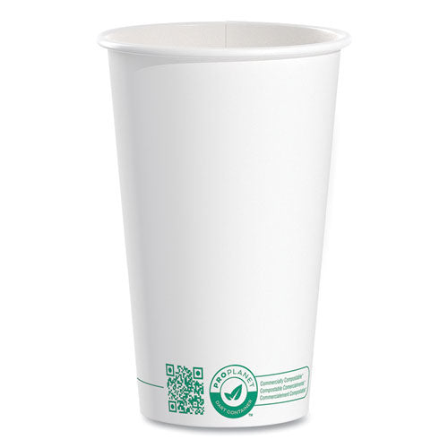 1000-PACK OF CUP HOT WHITE, GREEN COMPOSTABLE