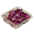 50 CT-PACK OF GREEN MICRO ORCHD PURP ORNAMTL