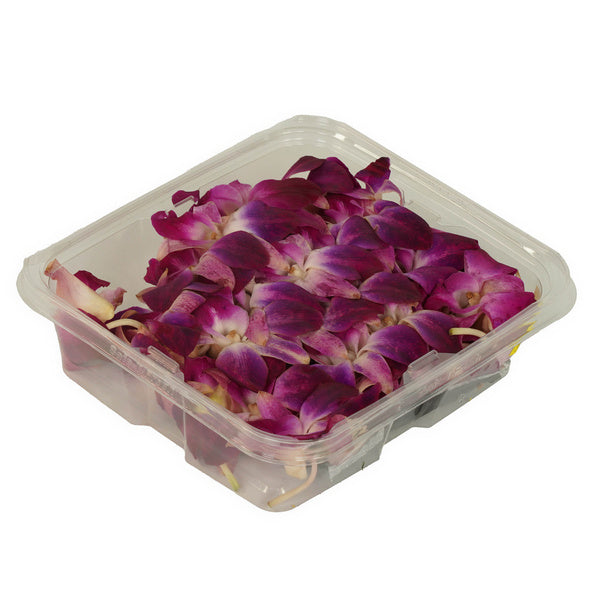 50 CT-PACK OF GREEN MICRO ORCHD PURP ORNAMTL