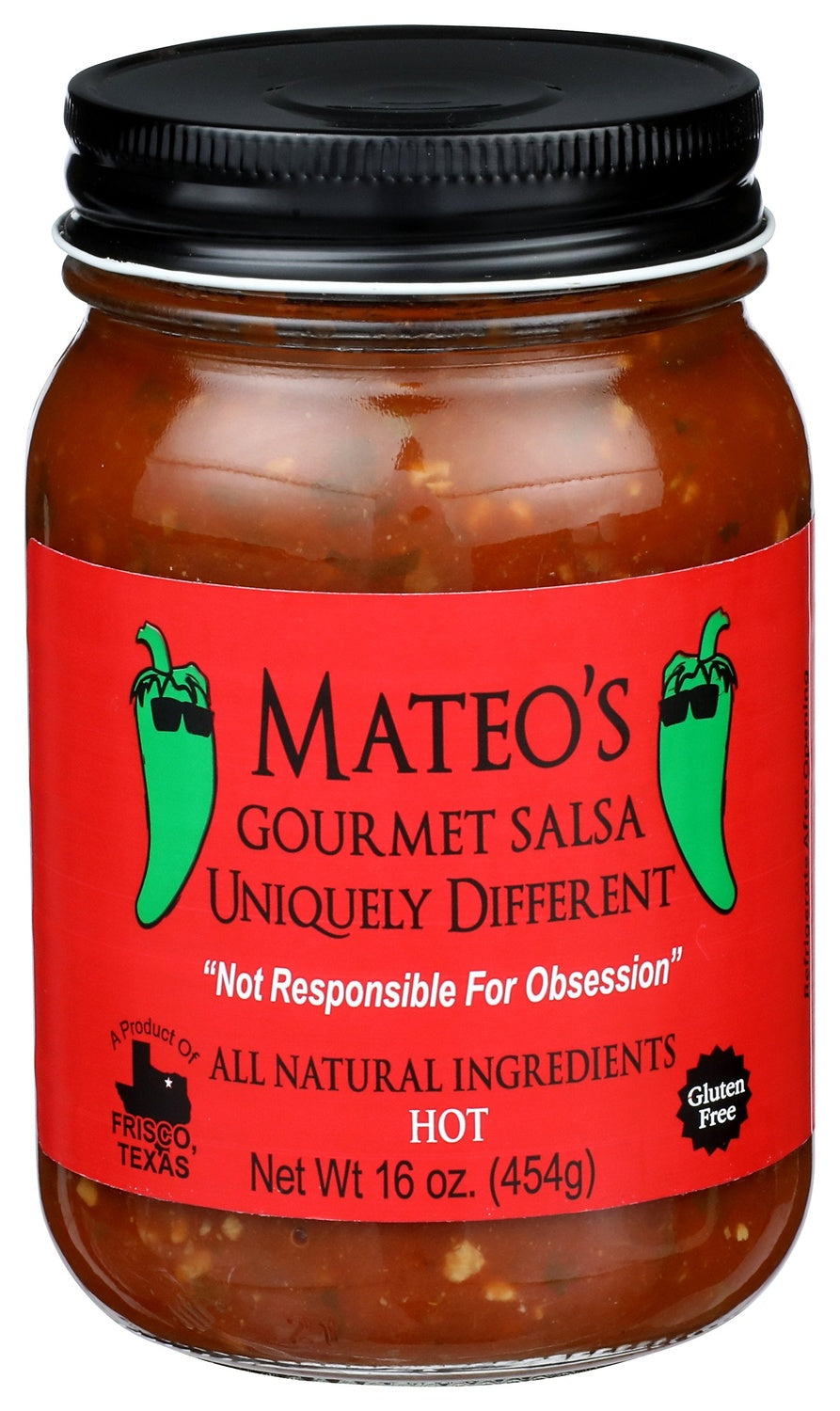 6-PACK OF SALSA HOT GOURMET