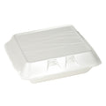 2-PACK OF CONTAINER FOAM HNG 10X9X3