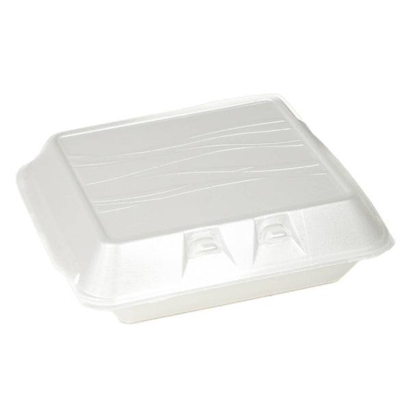 2-PACK OF CONTAINER FOAM HNG 10X9X3