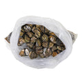 100 CT-PACK OF OYSTER INSHELL HPP 100 CT