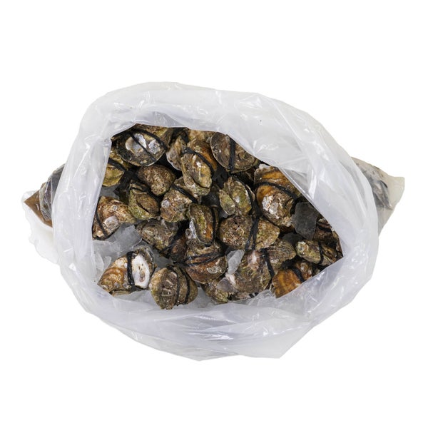100 CT-PACK OF OYSTER INSHELL HPP 100 CT
