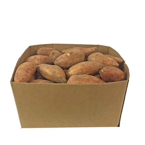 40 LB-PACK OF POTATO SWEET 55 CT FRSH