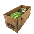 2 CT-PACK OF MELON WATERMELON SDLS FRSH